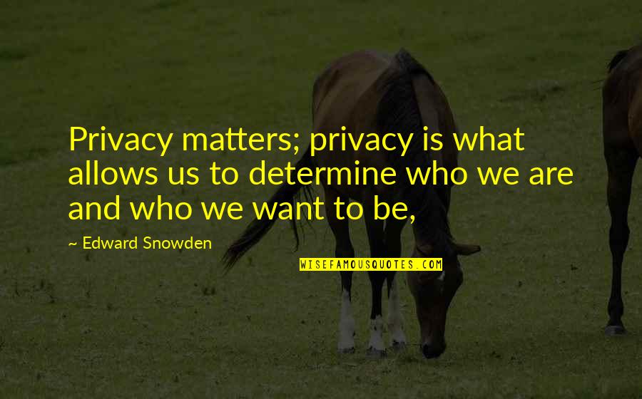 Judy Rebick Quotes By Edward Snowden: Privacy matters; privacy is what allows us to