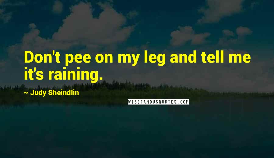 Judy Sheindlin quotes: Don't pee on my leg and tell me it's raining.