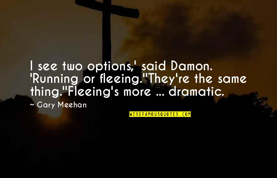 Juffrouw Quotes By Gary Meehan: I see two options,' said Damon. 'Running or