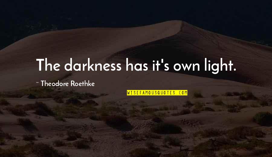 Jugara Pac Man Quotes By Theodore Roethke: The darkness has it's own light.