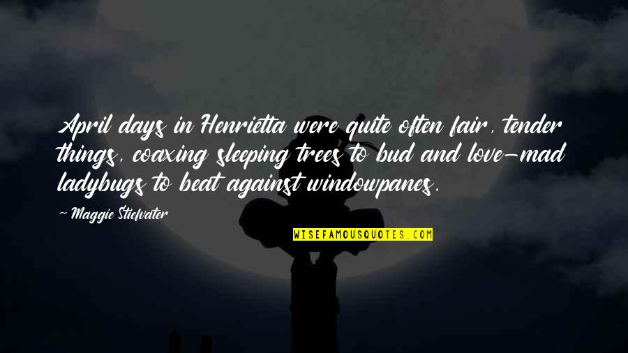 Jugendlichen Fruher Quotes By Maggie Stiefvater: April days in Henrietta were quite often fair, Jugendlichen Fruher Quotes By Maggie Stiefvater: April days in Henrietta were quite often fair,