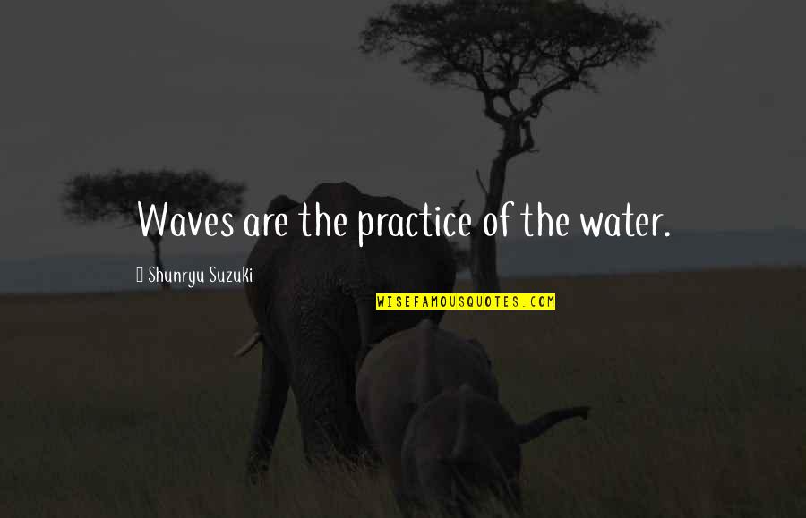 Juger Pistols Quotes By Shunryu Suzuki: Waves are the practice of the water.