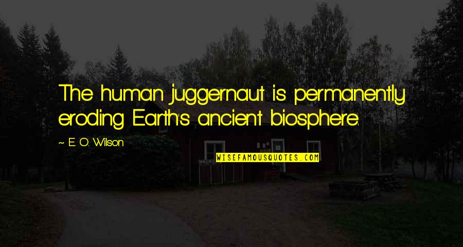 Juggernaut Quotes By E. O. Wilson: The human juggernaut is permanently eroding Earth's ancient