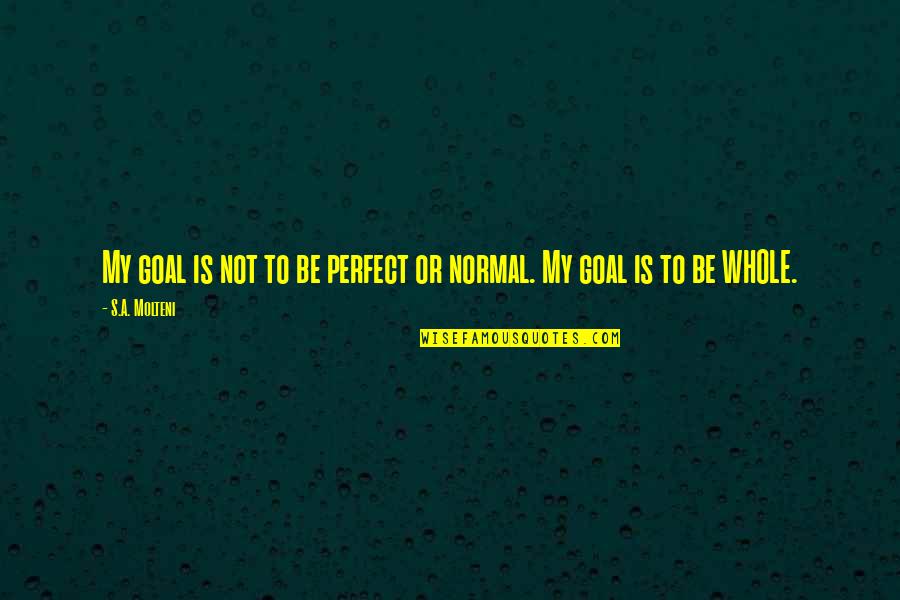 Juggles Quotes By S.A. Molteni: My goal is not to be perfect or