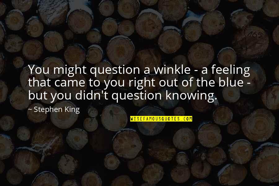 Jugo De Naranja Quotes By Stephen King: You might question a winkle - a feeling