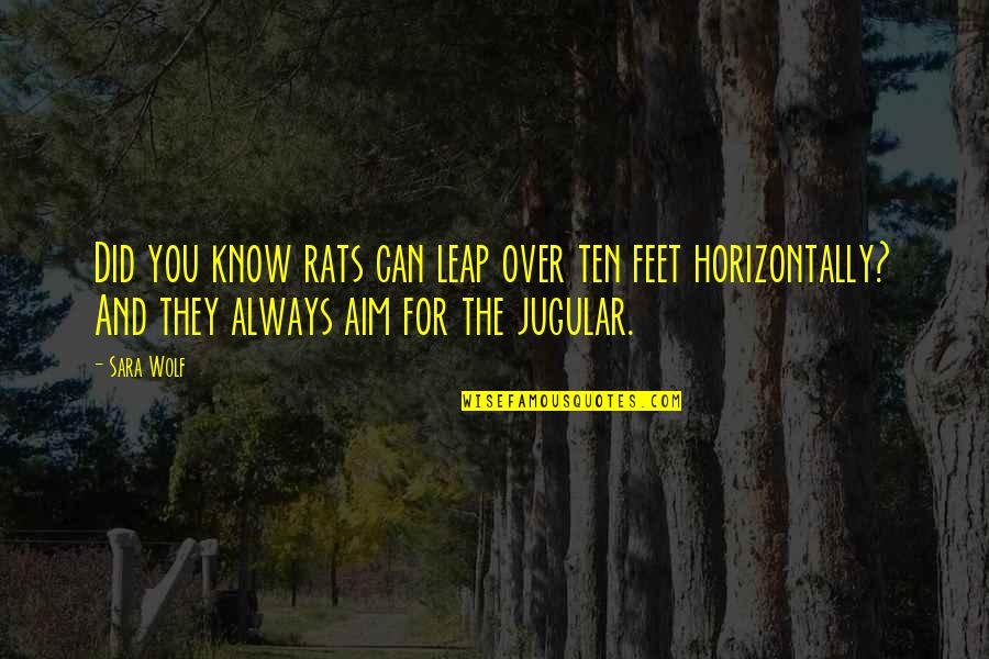 Jugular Quotes By Sara Wolf: Did you know rats can leap over ten