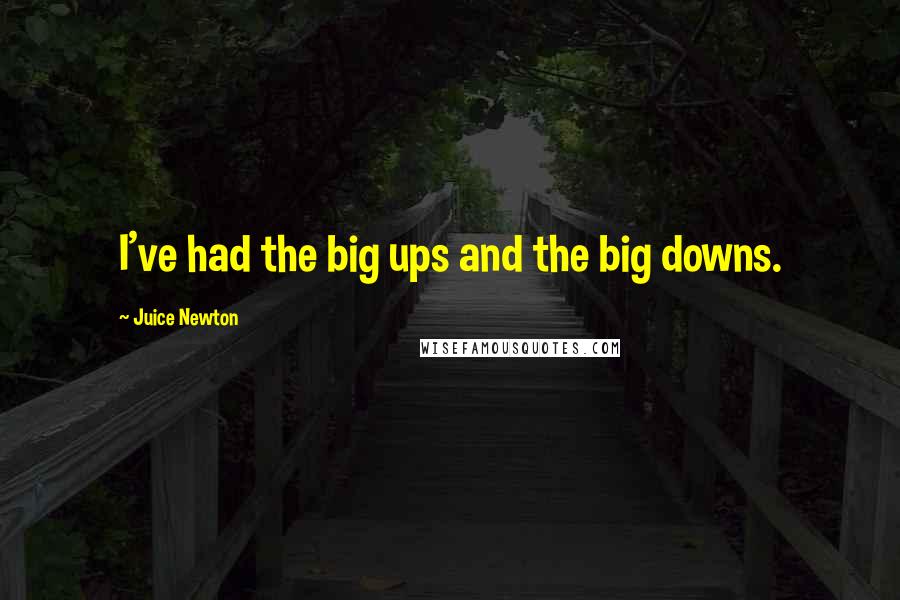 Juice Newton quotes: I've had the big ups and the big downs.