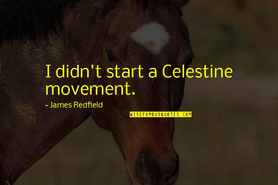 Juiceless January Quotes By James Redfield: I didn't start a Celestine movement. Juiceless January Quotes By James Redfield: I didn't start a Celestine movement.