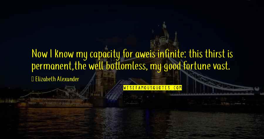 Juices For Weight Quotes By Elizabeth Alexander: Now I know my capacity for aweis infinite: