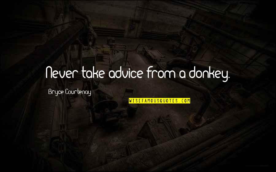Juicioso Translation Quotes By Bryce Courtenay: Never take advice from a donkey.