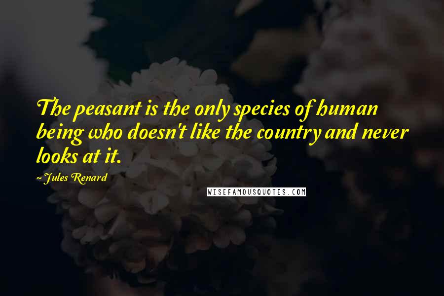 Jules Renard quotes: The peasant is the only species of human being who doesn't like the country and never looks at it.