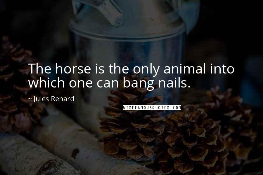Jules Renard quotes: The horse is the only animal into which one can bang nails.