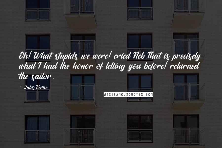 Jules Verne quotes: Oh! What stupids we were! cried Neb.That is precisely what I had the honor of telling you before! returned the sailor.