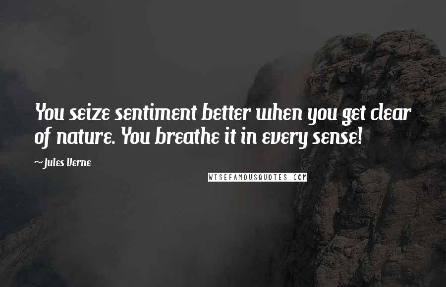 Jules Verne quotes: You seize sentiment better when you get clear of nature. You breathe it in every sense!