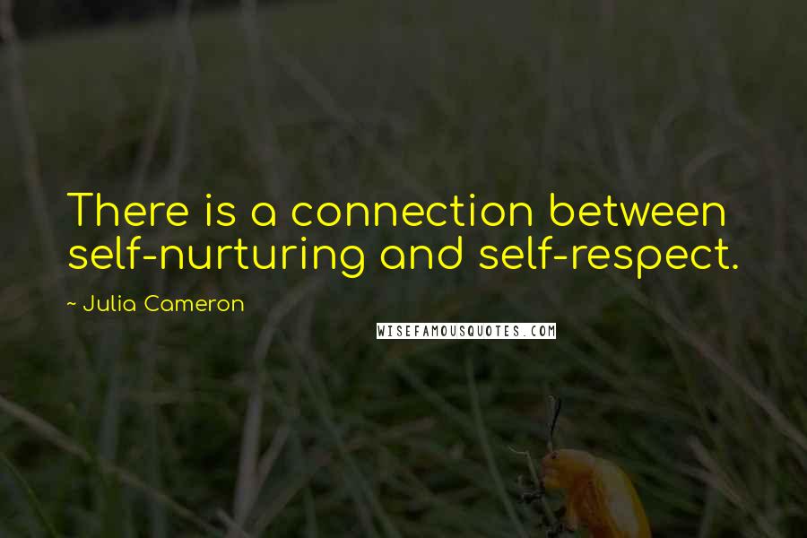 Julia Cameron quotes: There is a connection between self-nurturing and self-respect.