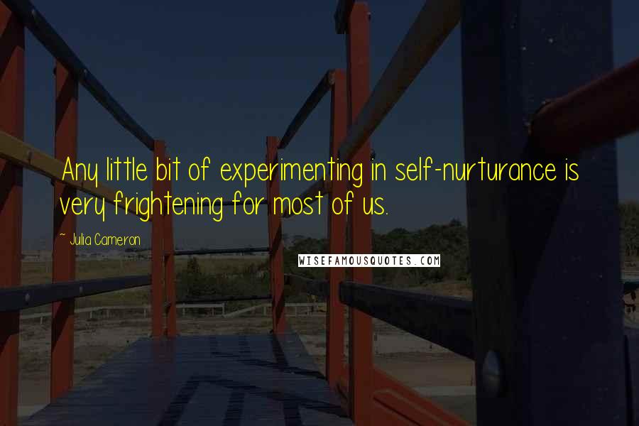 Julia Cameron quotes: Any little bit of experimenting in self-nurturance is very frightening for most of us.