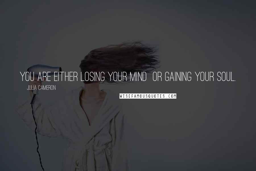 Julia Cameron quotes: You are either losing your mind or gaining your soul.