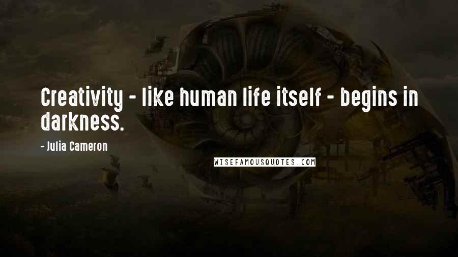 Julia Cameron quotes: Creativity - like human life itself - begins in darkness.