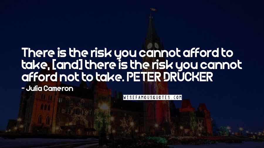 Julia Cameron quotes: There is the risk you cannot afford to take, [and] there is the risk you cannot afford not to take. PETER DRUCKER