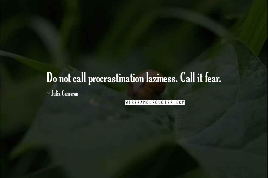 Julia Cameron quotes: Do not call procrastination laziness. Call it fear.