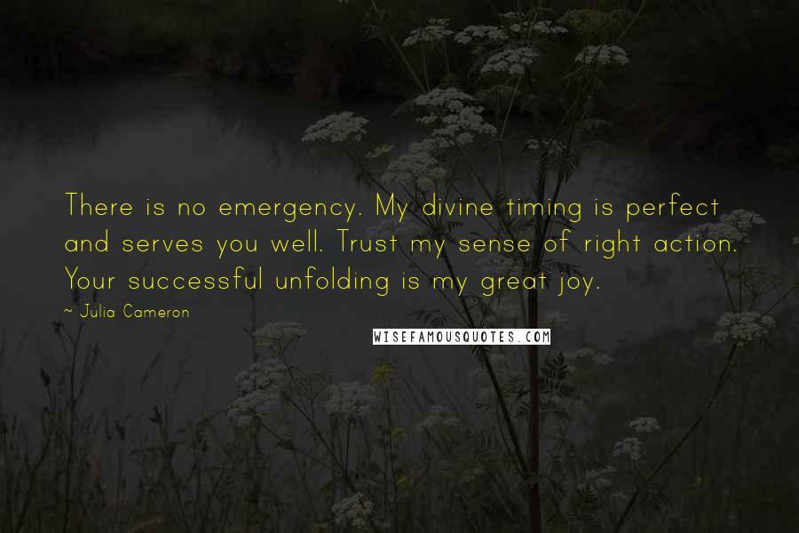 Julia Cameron quotes: There is no emergency. My divine timing is perfect and serves you well. Trust my sense of right action. Your successful unfolding is my great joy. Julia Cameron quotes: There is no emergency. My divine timing is perfect and serves you well. Trust my sense of right action. Your successful unfolding is my great joy.