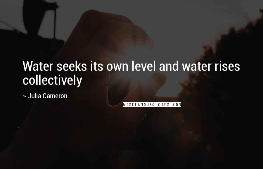 Julia Cameron quotes: Water seeks its own level and water rises collectively