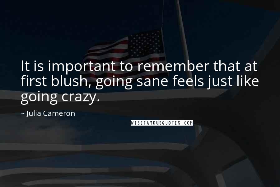Julia Cameron quotes: It is important to remember that at first blush, going sane feels just like going crazy.