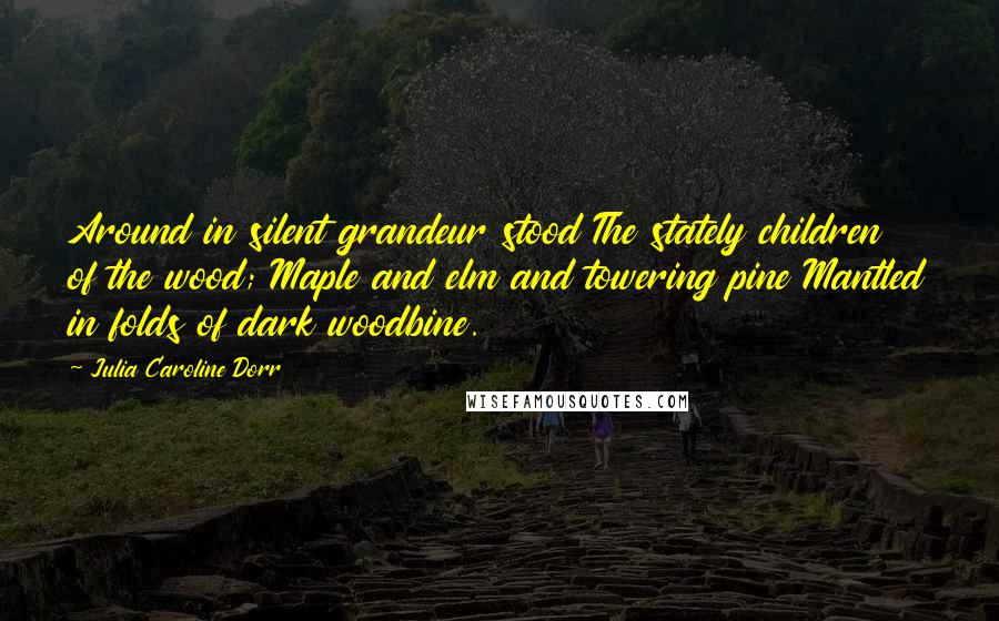 Julia Caroline Dorr quotes: Around in silent grandeur stood The stately children of the wood; Maple and elm and towering pine Mantled in folds of dark woodbine. Julia Caroline Dorr quotes: Around in silent grandeur stood The stately children of the wood; Maple and elm and towering pine Mantled in folds of dark woodbine.