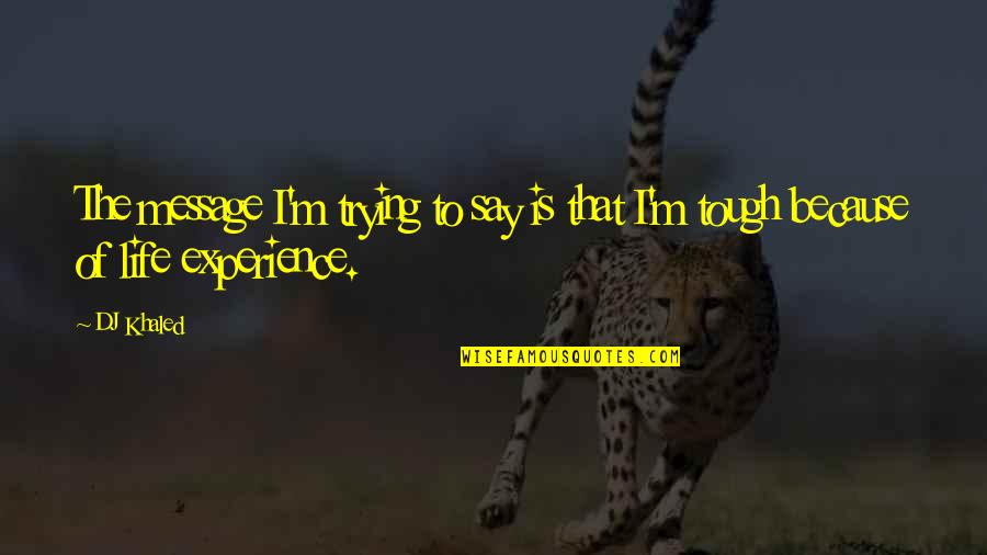 Julia Child Life Quotes By DJ Khaled: The message I'm trying to say is that