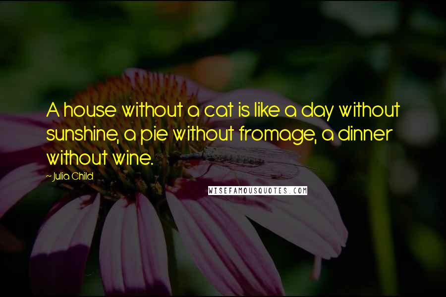 Julia Child quotes: A house without a cat is like a day without sunshine, a pie without fromage, a dinner without wine.