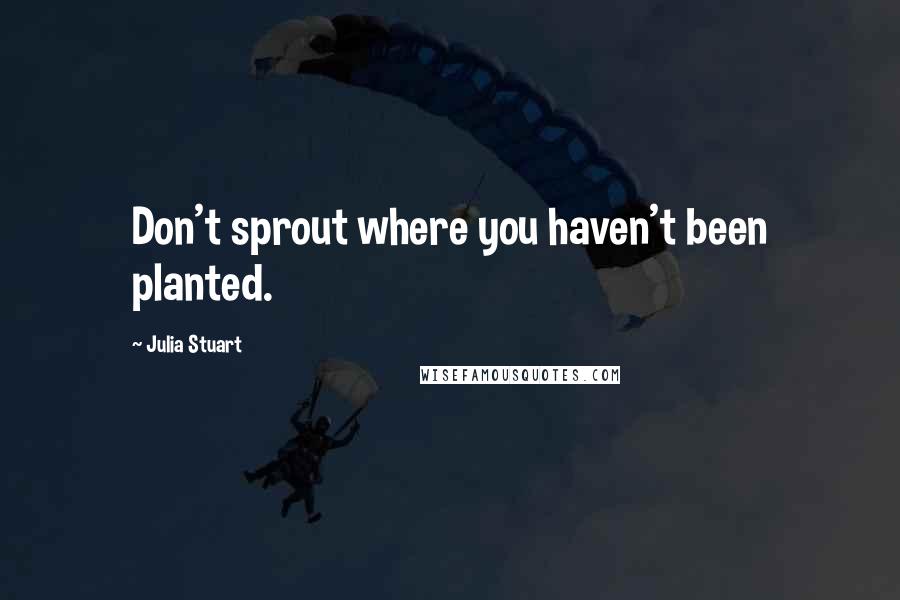 Julia Stuart quotes: Don't sprout where you haven't been planted.