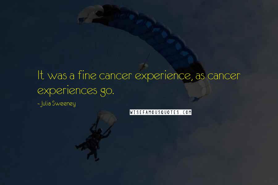 Julia Sweeney quotes: It was a fine cancer experience, as cancer experiences go.