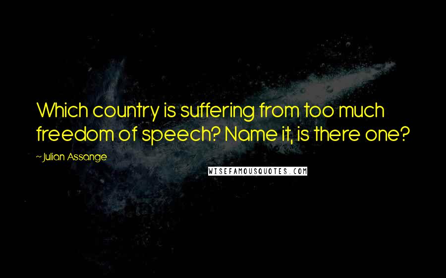 Julian Assange quotes: Which country is suffering from too much freedom of speech? Name it, is there one?