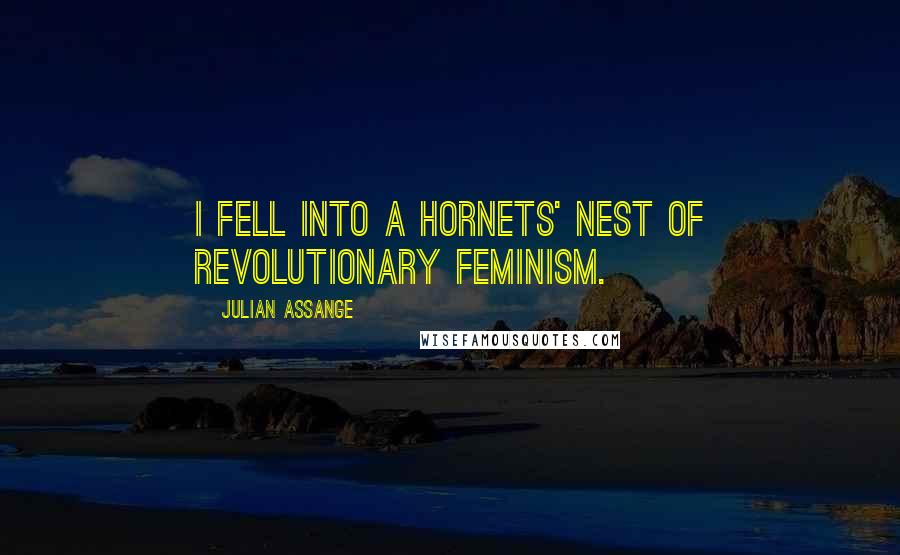Julian Assange quotes: I fell into a hornets' nest of revolutionary feminism.