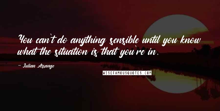 Julian Assange quotes: You can't do anything sensible until you know what the situation is that you're in.