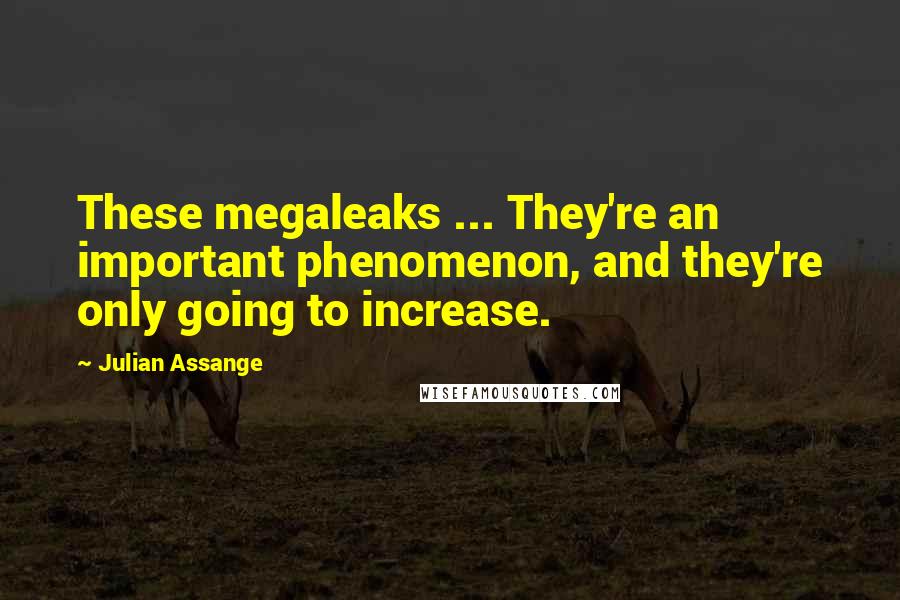 Julian Assange quotes: These megaleaks ... They're an important phenomenon, and they're only going to increase.