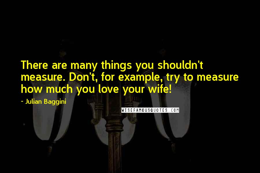 Julian Baggini quotes: There are many things you shouldn't measure. Don't, for example, try to measure how much you love your wife!