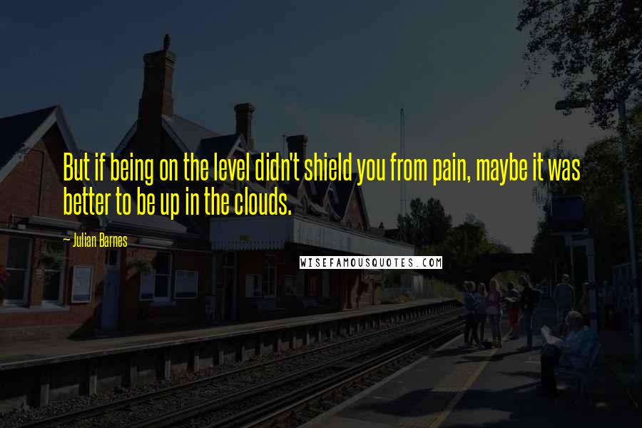 Julian Barnes quotes: But if being on the level didn't shield you from pain, maybe it was better to be up in the clouds.