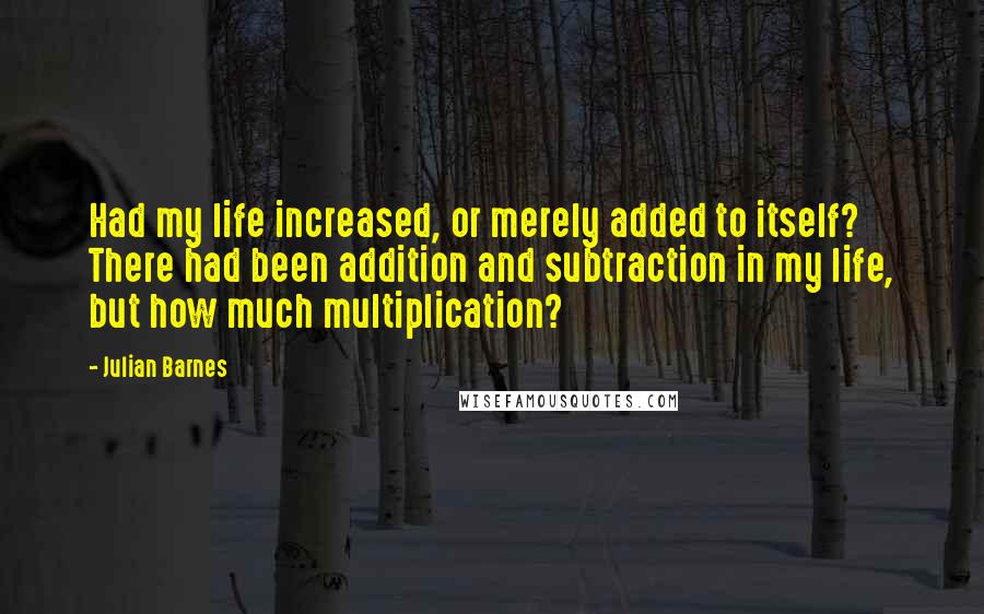 Julian Barnes quotes: Had my life increased, or merely added to itself? There had been addition and subtraction in my life, but how much multiplication?