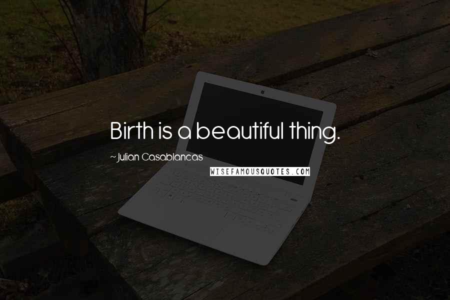 Julian Casablancas quotes: Birth is a beautiful thing.