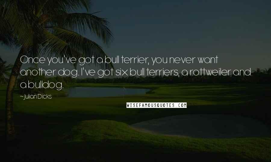 Julian Dicks quotes: Once you've got a bull terrier, you never want another dog. I've got six bull terriers, a rottweiler and a bulldog. Julian Dicks quotes: Once you've got a bull terrier, you never want another dog. I've got six bull terriers, a rottweiler and a bulldog.