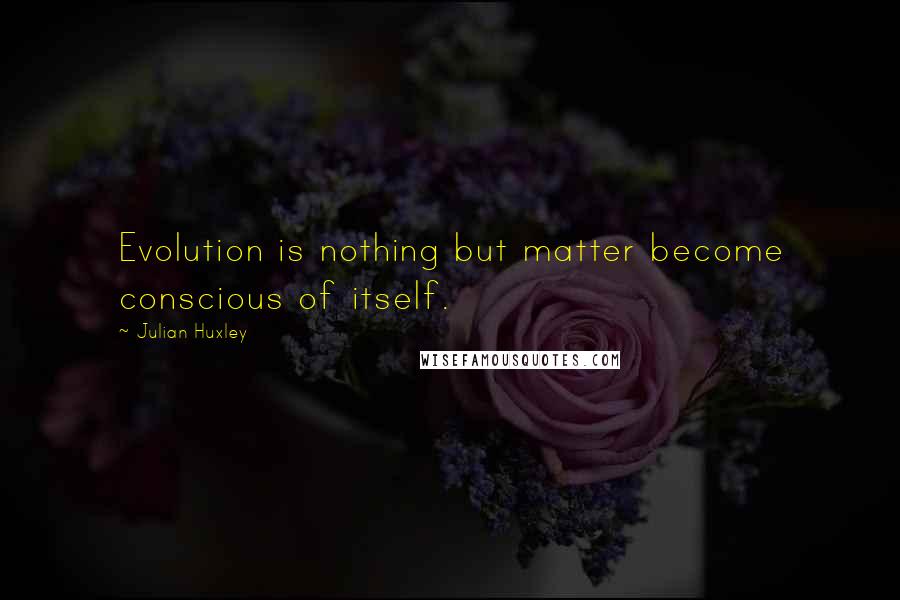 Julian Huxley quotes: Evolution is nothing but matter become conscious of itself.