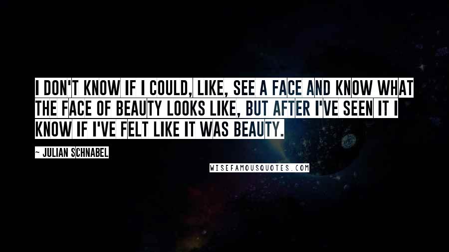 Julian Schnabel quotes: I don't know if I could, like, see a face and know what the face of beauty looks like, but after I've seen it I know if I've felt like