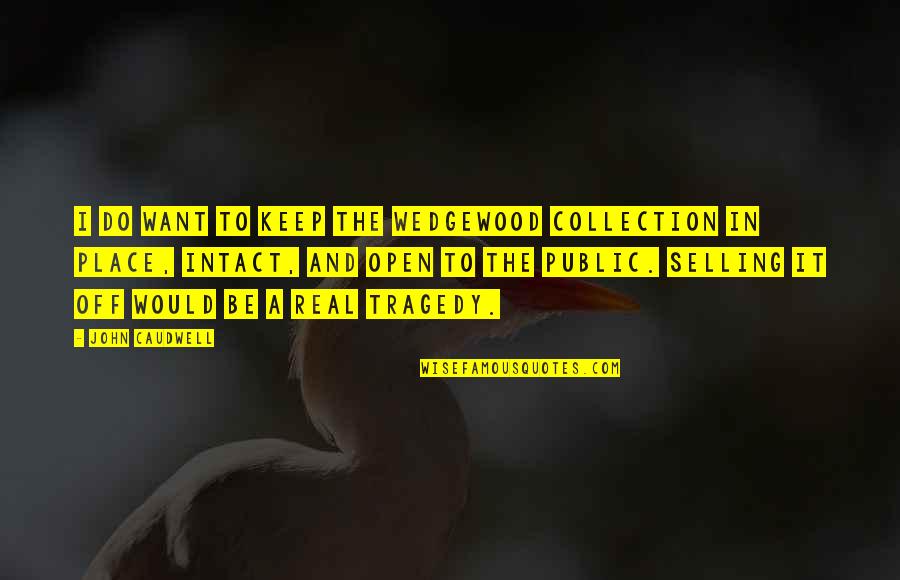 Juliane Werding Quotes By John Caudwell: I do want to keep the Wedgewood Collection Juliane Werding Quotes By John Caudwell: I do want to keep the Wedgewood Collection