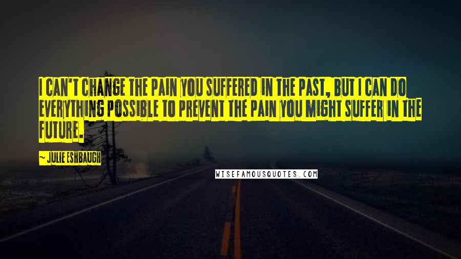 Julie Eshbaugh quotes: I can't change the pain you suffered in the past, but I can do everything possible to prevent the pain you might suffer in the future.