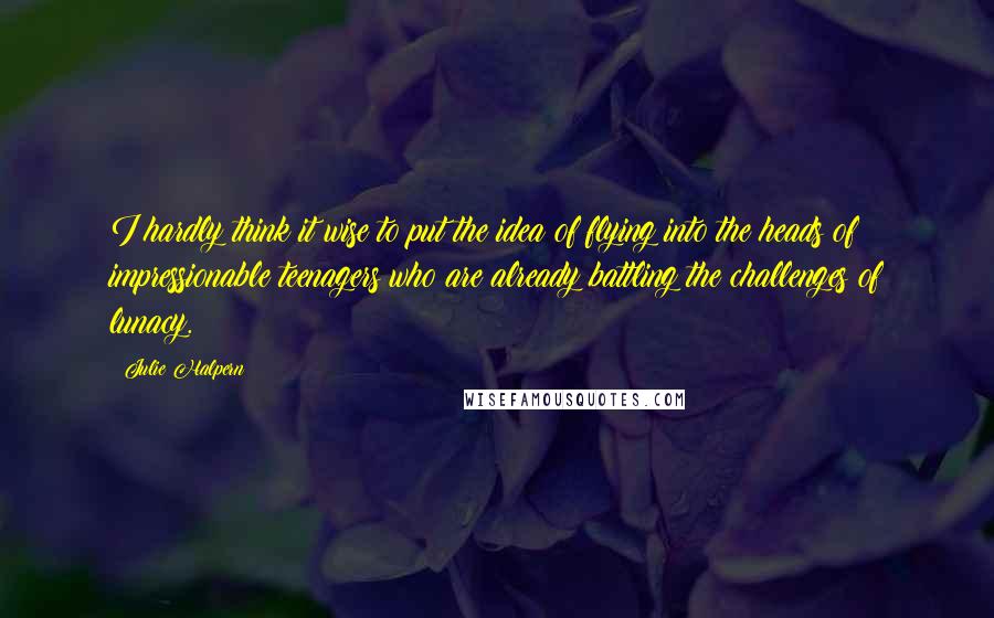 Julie Halpern quotes: I hardly think it wise to put the idea of flying into the heads of impressionable teenagers who are already battling the challenges of lunacy.