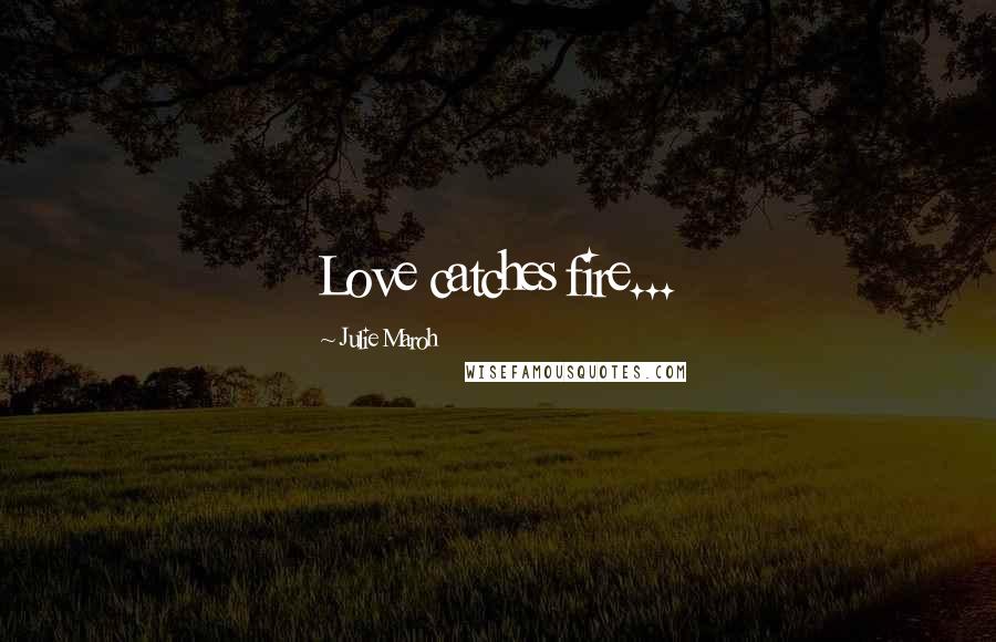 Julie Maroh quotes: Love catches fire...