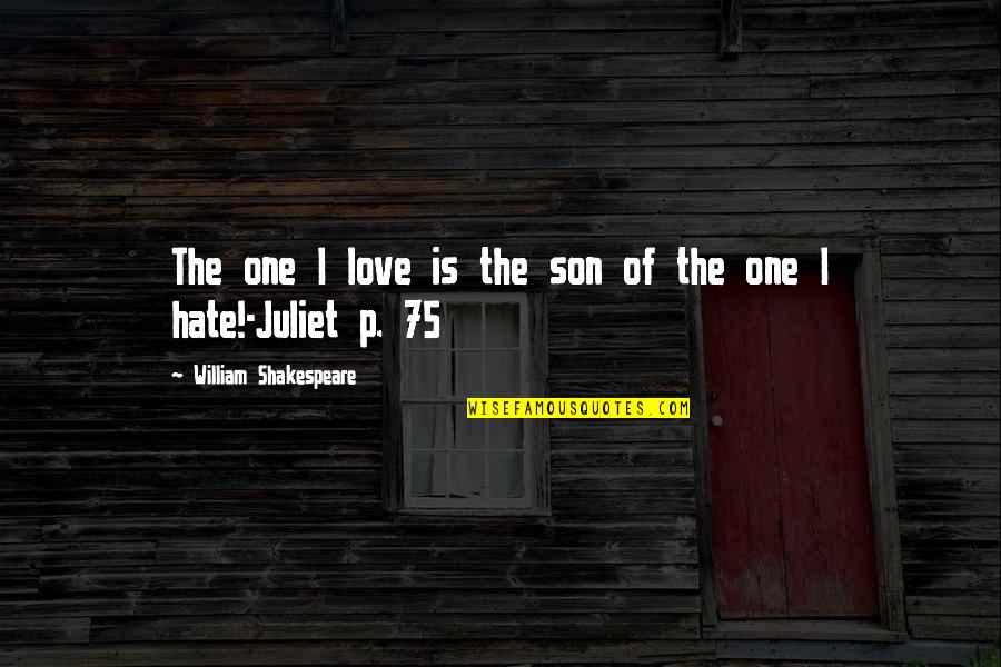 Juliet Quotes By William Shakespeare: The one I love is the son of