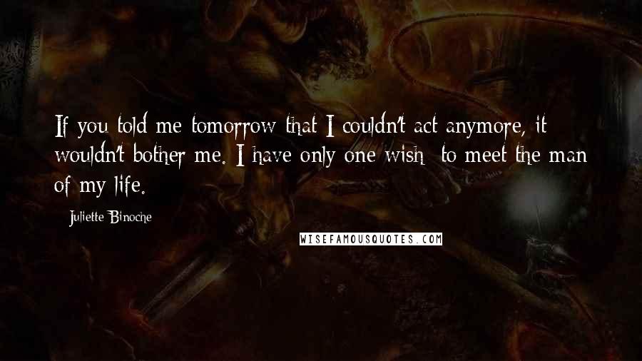Juliette Binoche quotes: If you told me tomorrow that I couldn't act anymore, it wouldn't bother me. I have only one wish: to meet the man of my life.