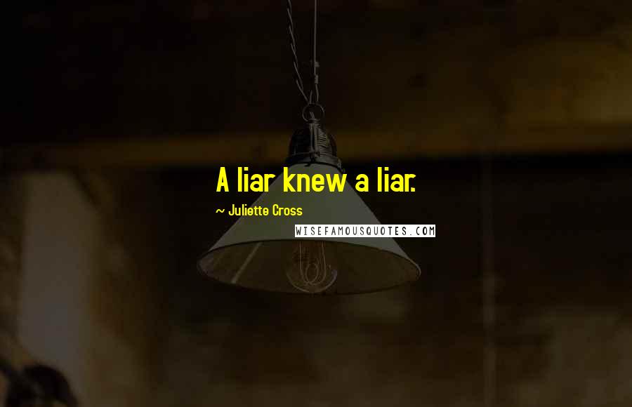 Juliette Cross quotes: A liar knew a liar.